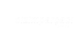 Bizim Parçacı
